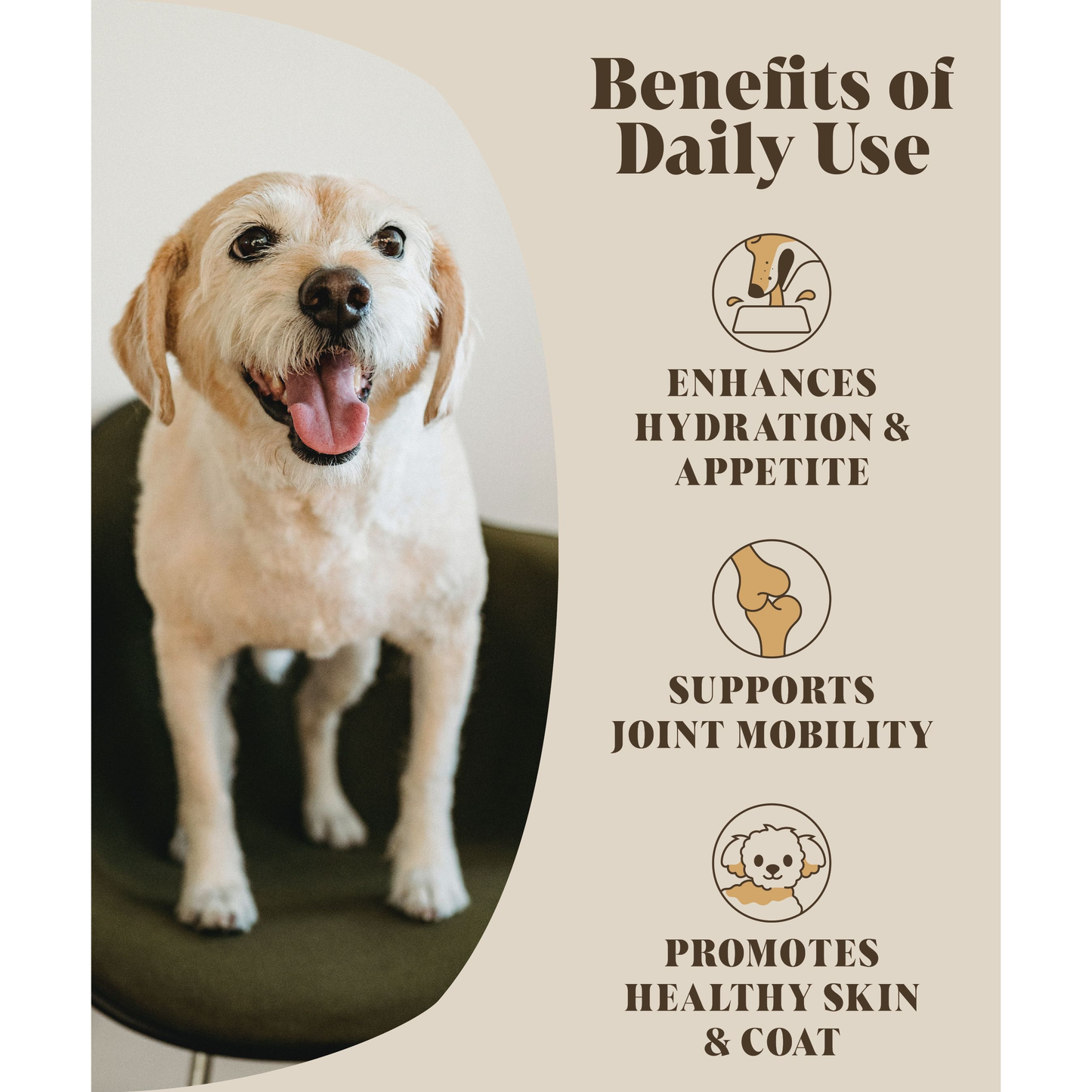 Bouillon d'os pour chiens