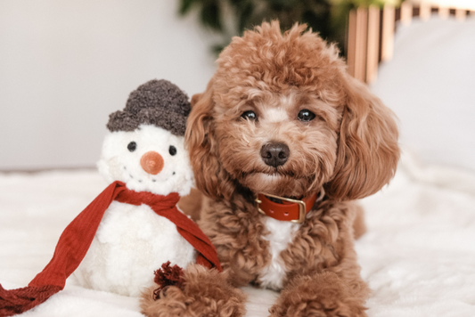 Jouet Bonhomme de neige