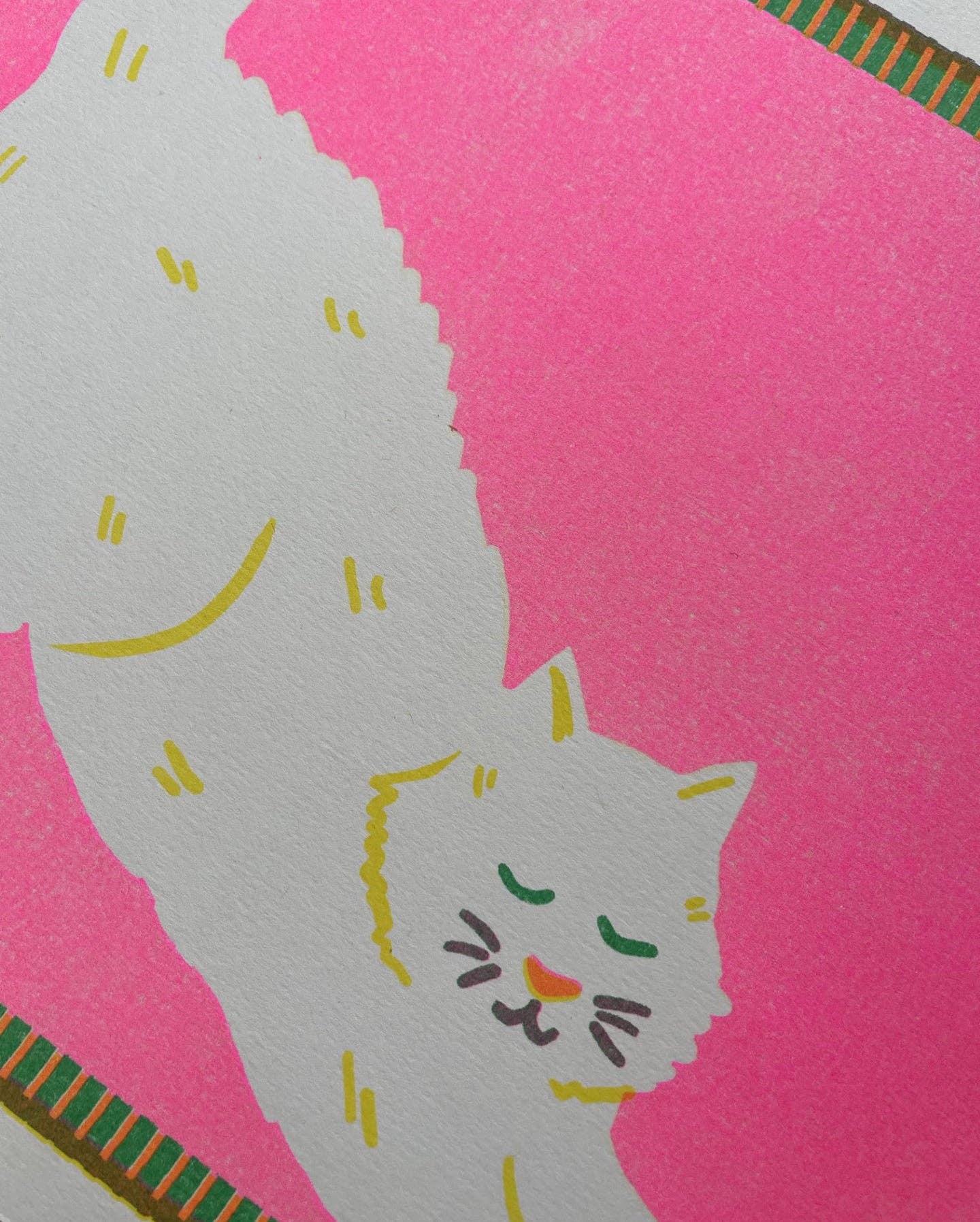 Impression Chat Blanc A4