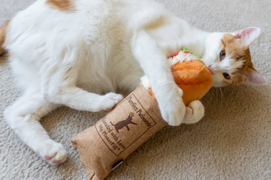 Jouet pour chat Tuna baguette