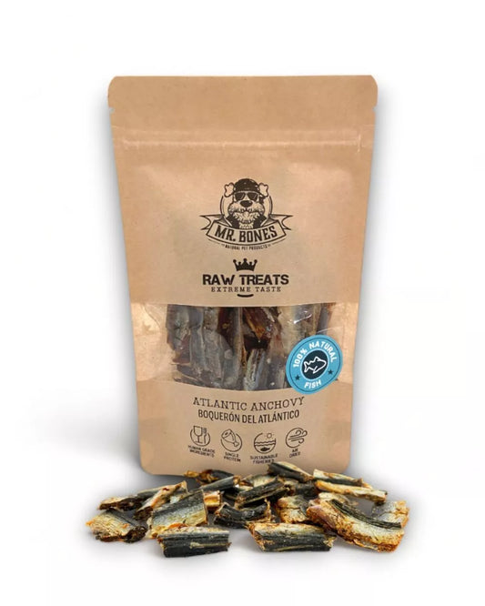 Raw treats - Anchois de l'Atlantique