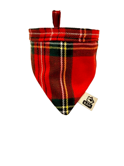 Bandana Rodolphe