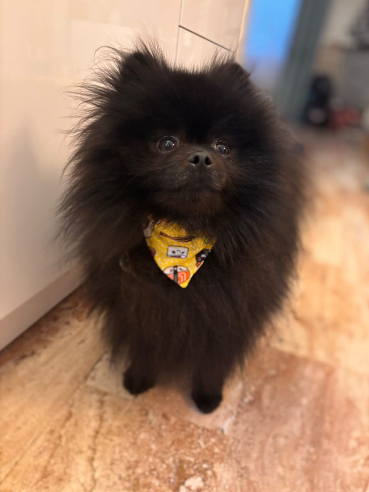 Bandana Yuki