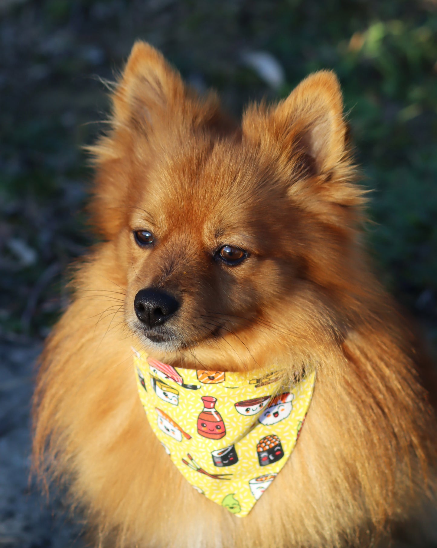 Bandana Yuki