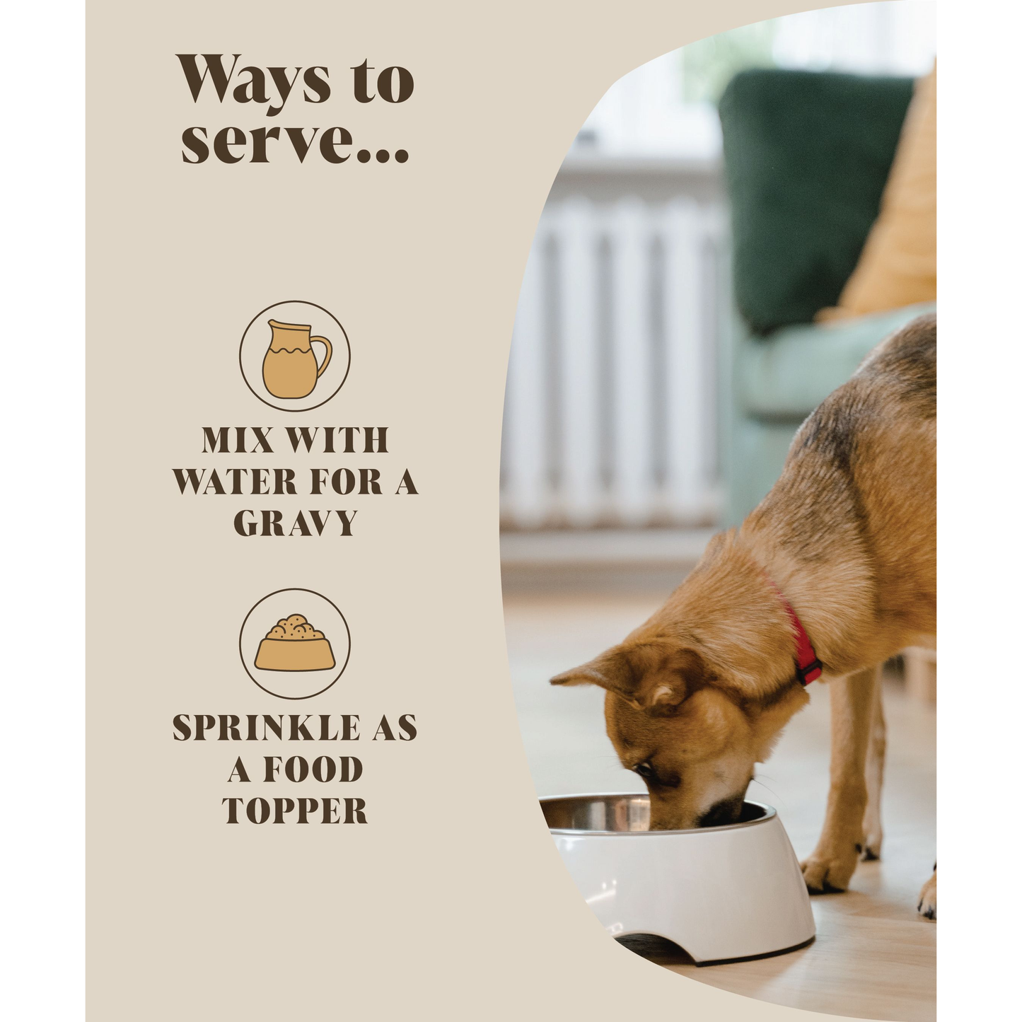 Bouillon d'os pour chiens