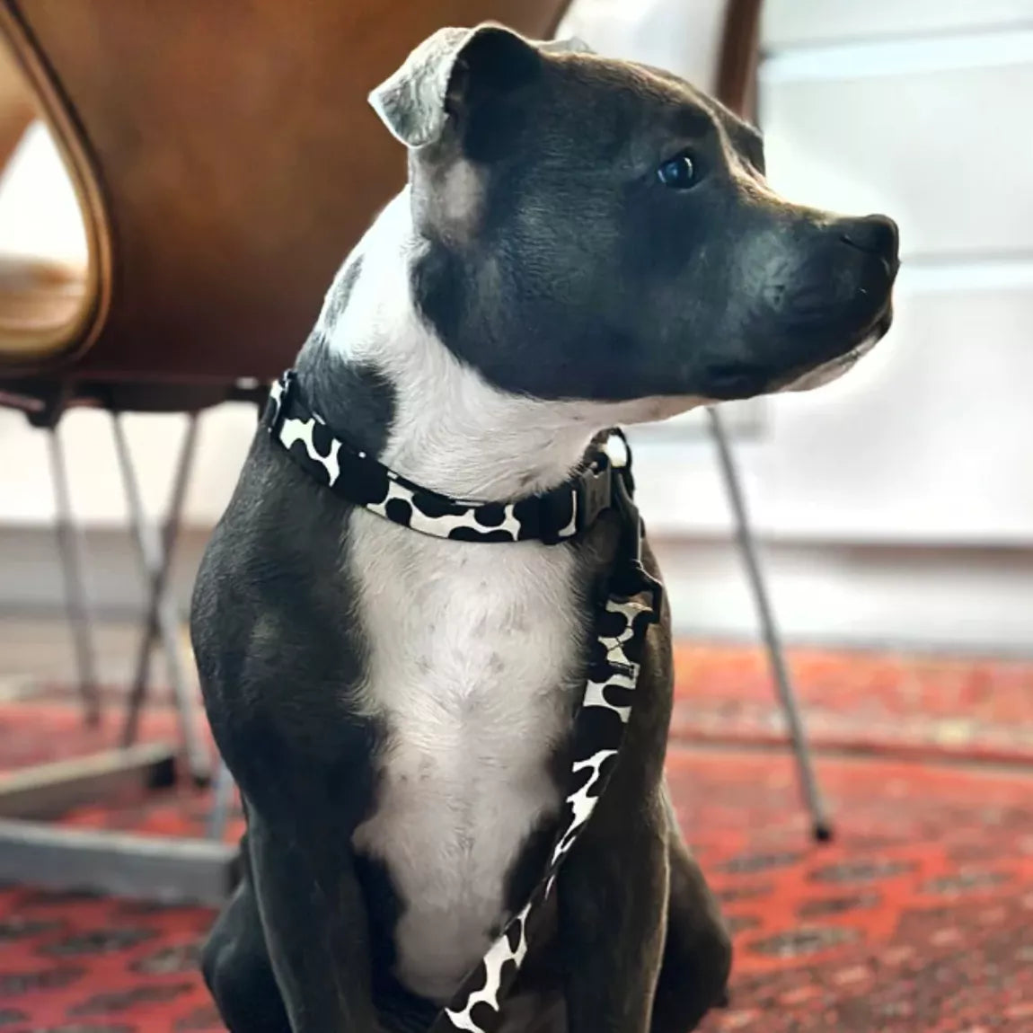 Collier motif vache