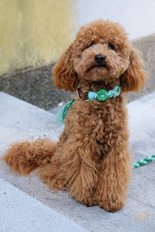 Collier en macramé Jérôme