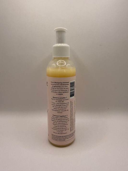 Shampoing Universel