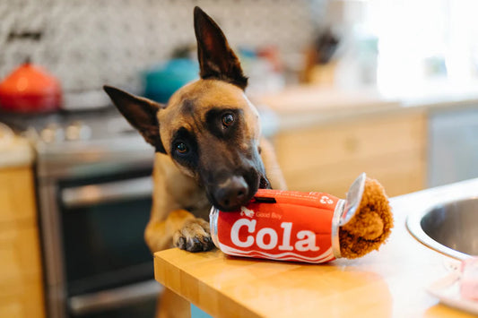 Jouet Good Boy Cola