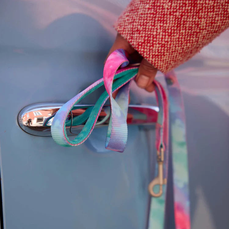 Laisse multicolore tie-dye