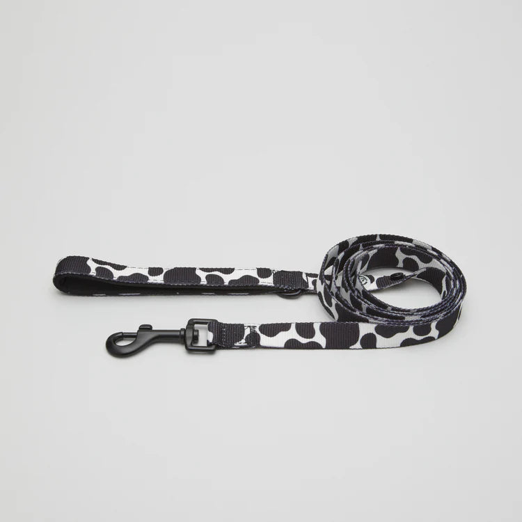Laisse motif vache