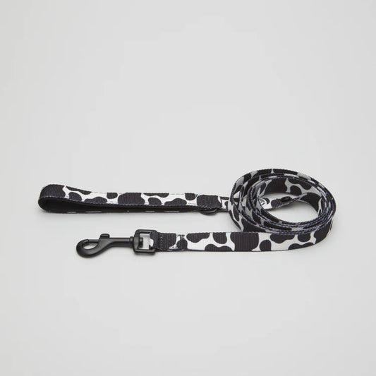 Laisse motif vache