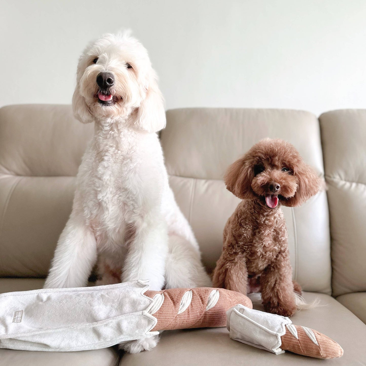 Mini-baguette pour chien