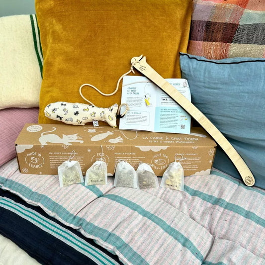 Le pack canne Ă  pĂȘche