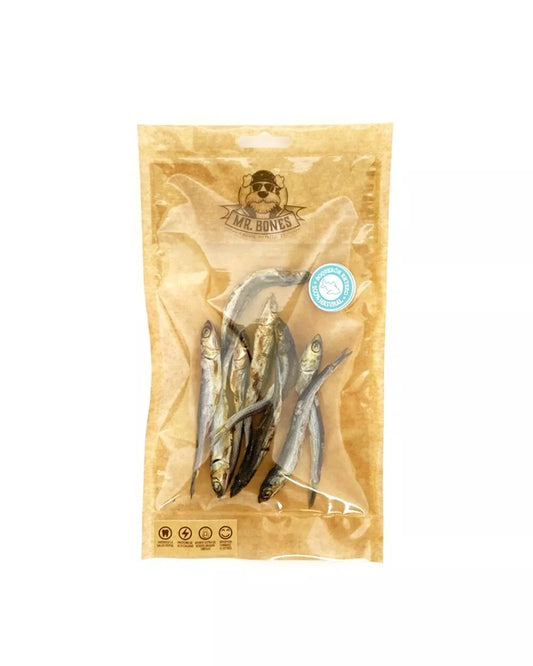 Anchois de l'Atlantique