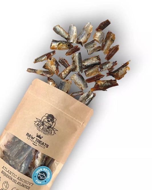 Raw treats - Anchois de l'Atlantique