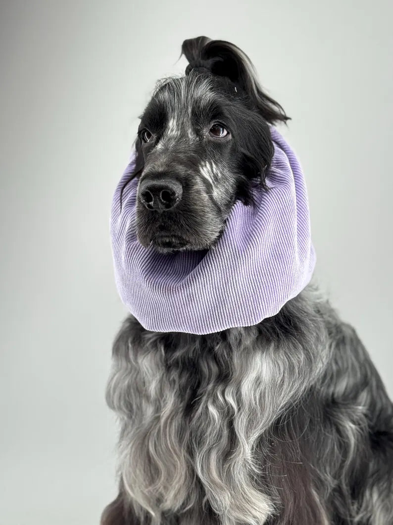 Snood en velours côtelé - Lilas