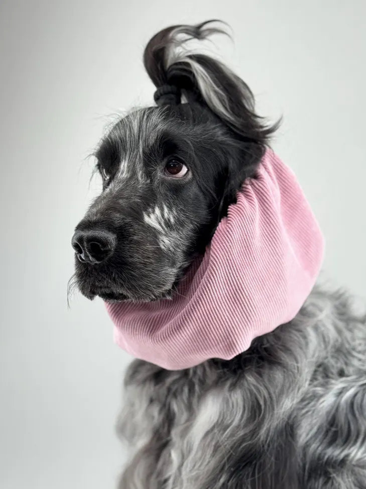 Snood en velours côtelé - Rose poudré