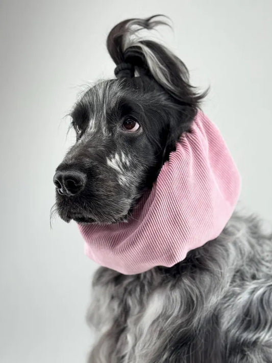 Snood en velours cÎtelé - Rose poudré