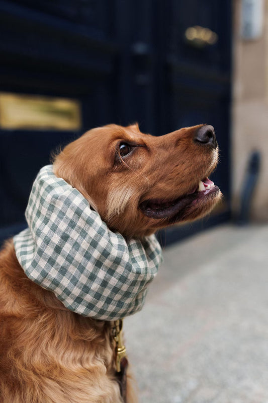 Snood en lin - vert