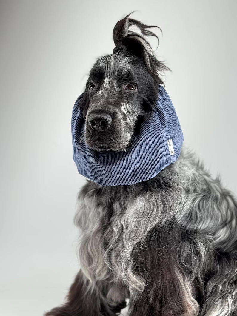 Snood en velours côtelé - Bleu