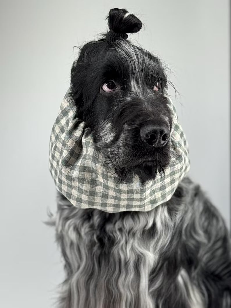 Snood en lin - vert