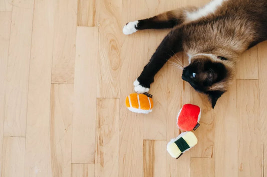 Jouet pour chat Trio de sushi