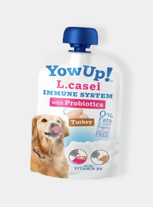 Yaourt à boire - boost immunitaire à la dinde