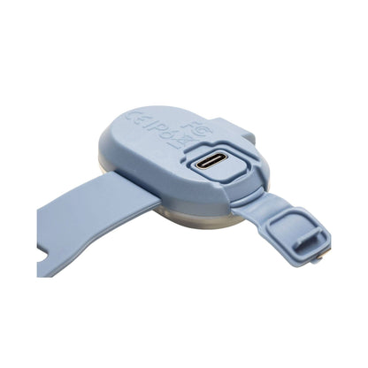 Lumière de sécurité pour chiens - Matrix 2.0 Ultra LED - Océan