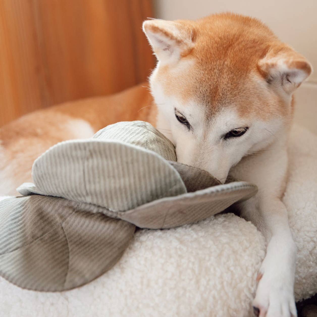 Jouet d'occupation CABBAGE - vert