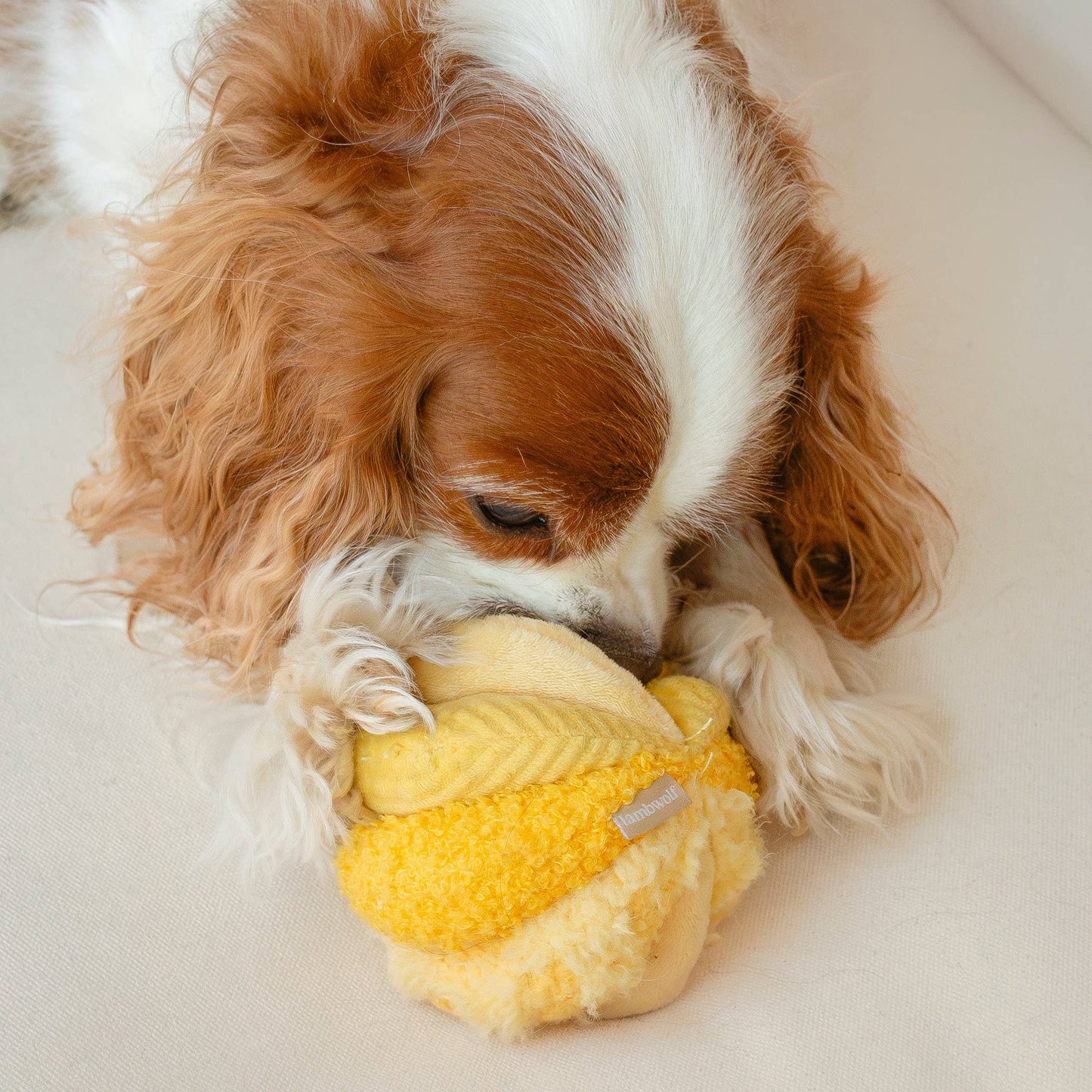 Balle de fouille TOTO