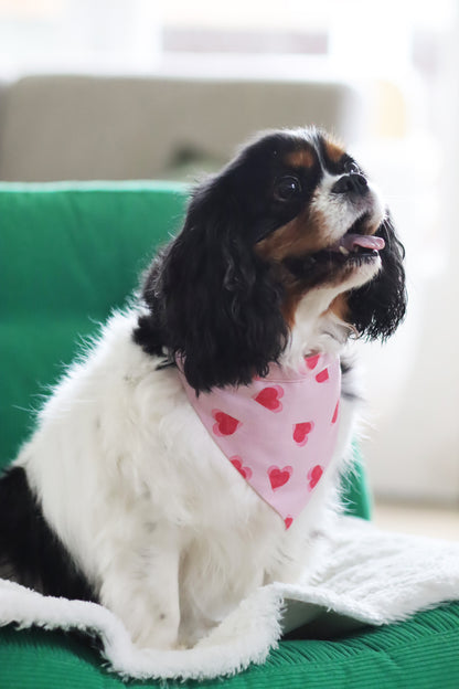 Bandana Darling