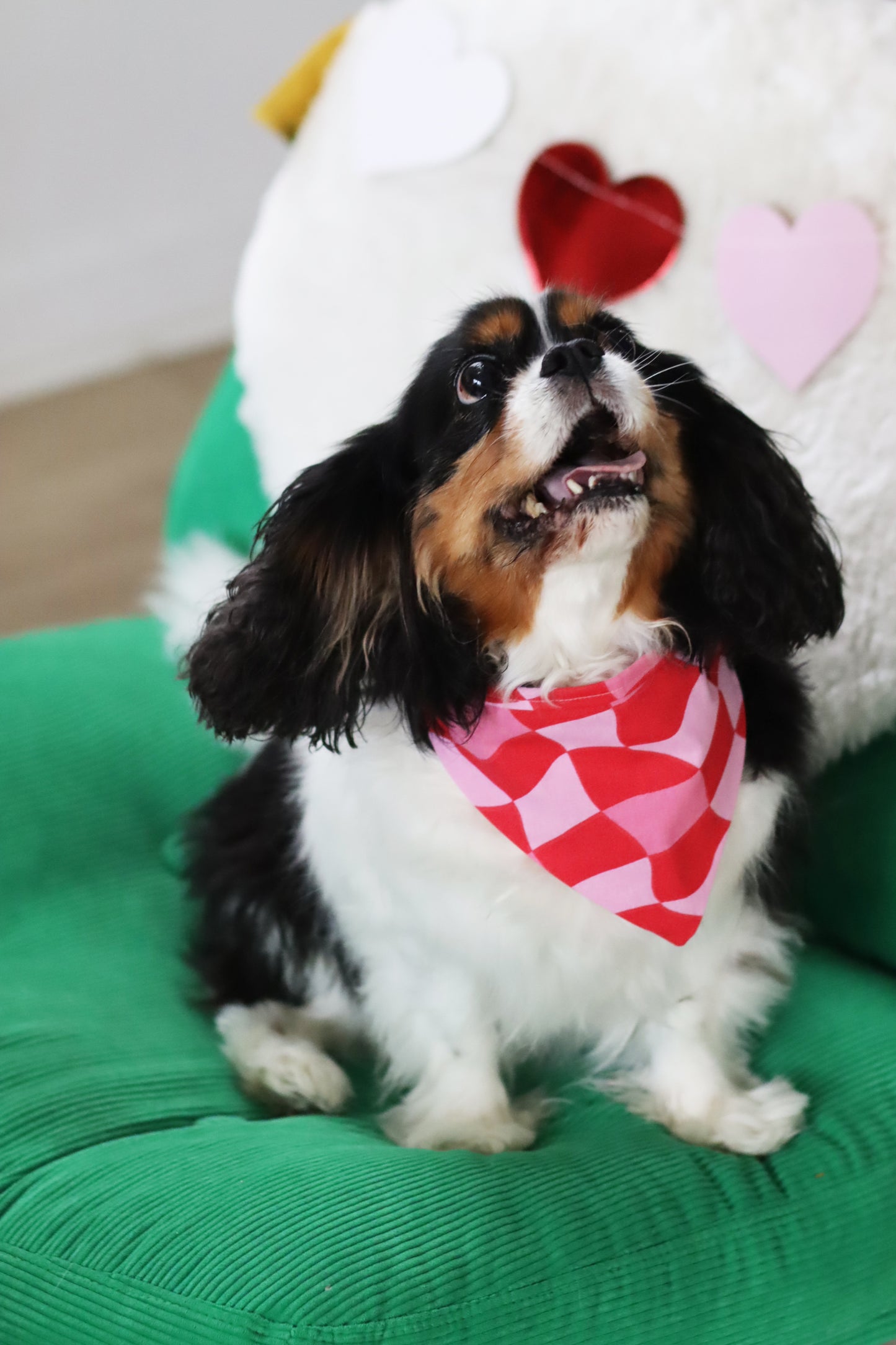 Bandana Amore
