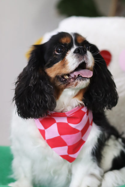 Bandana Amore
