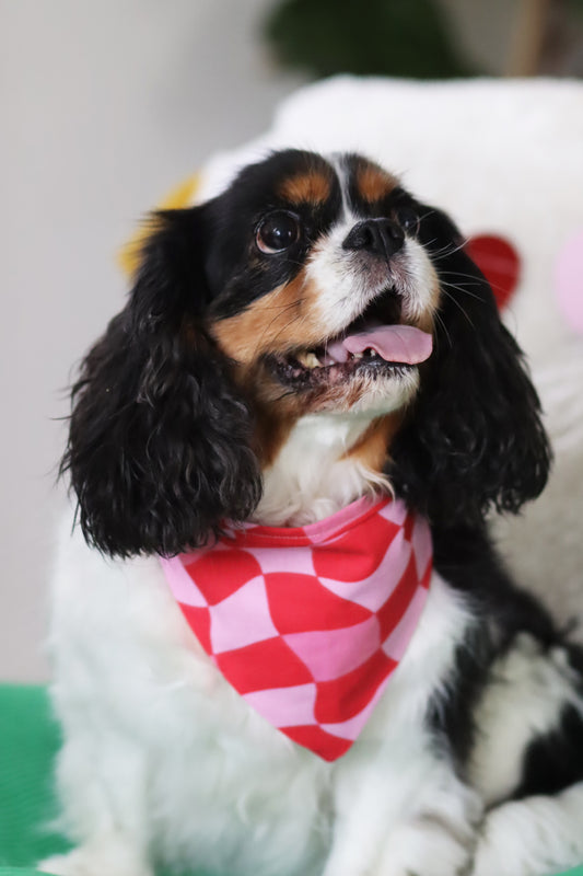 Bandana Amore
