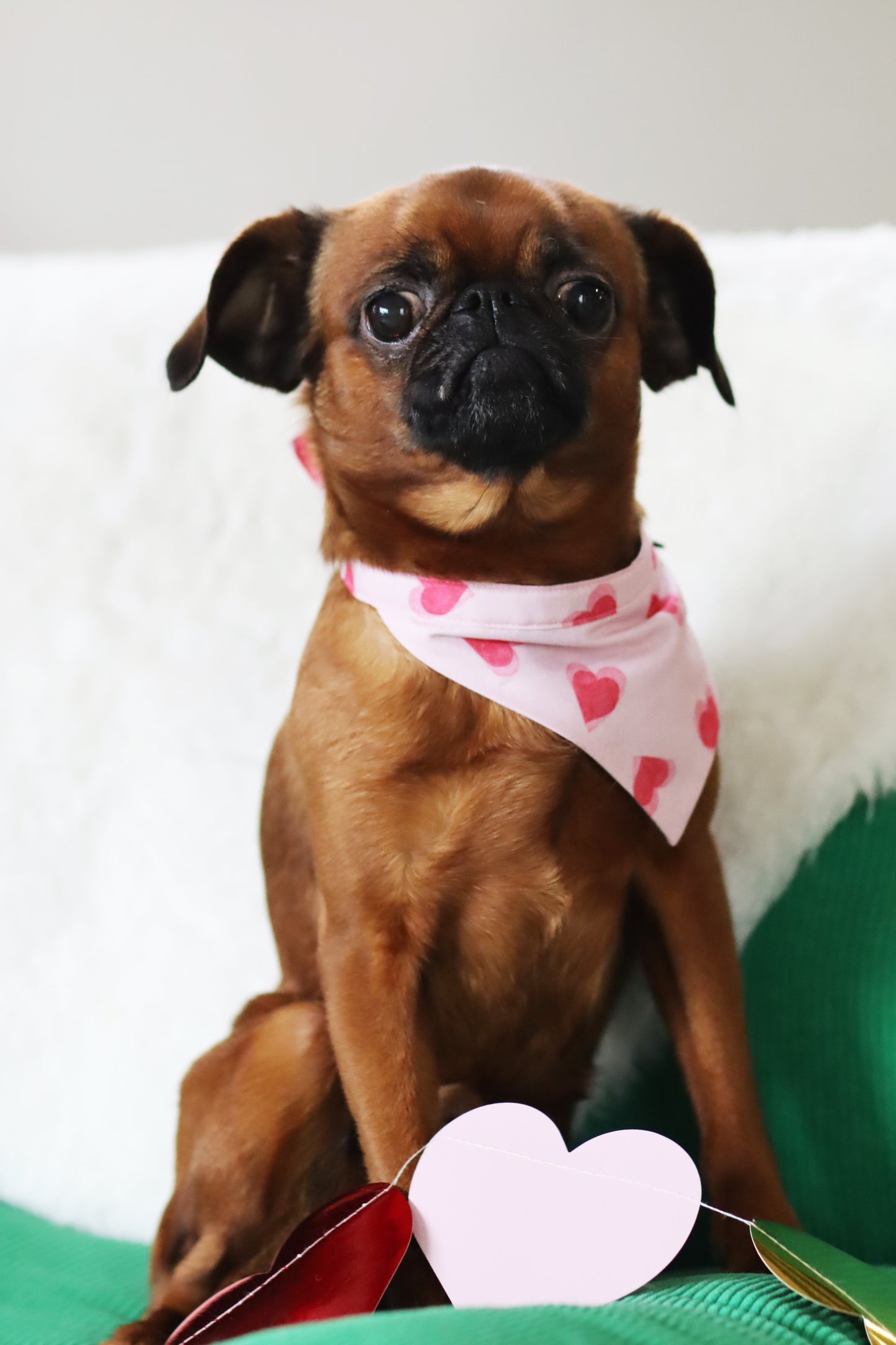 Bandana Darling