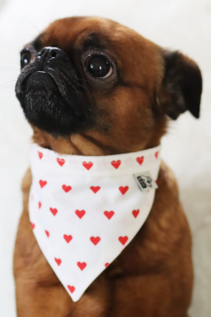 Bandana Roméo