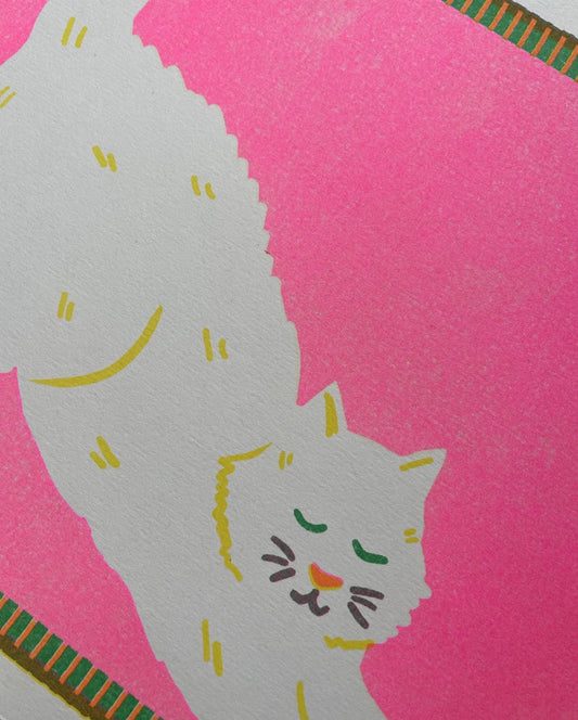 Impression Chat Blanc A4