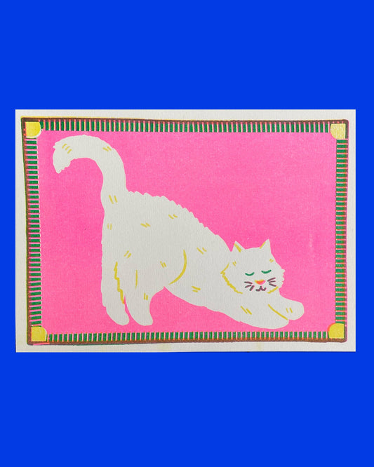 Impression Mini Chat Blanc