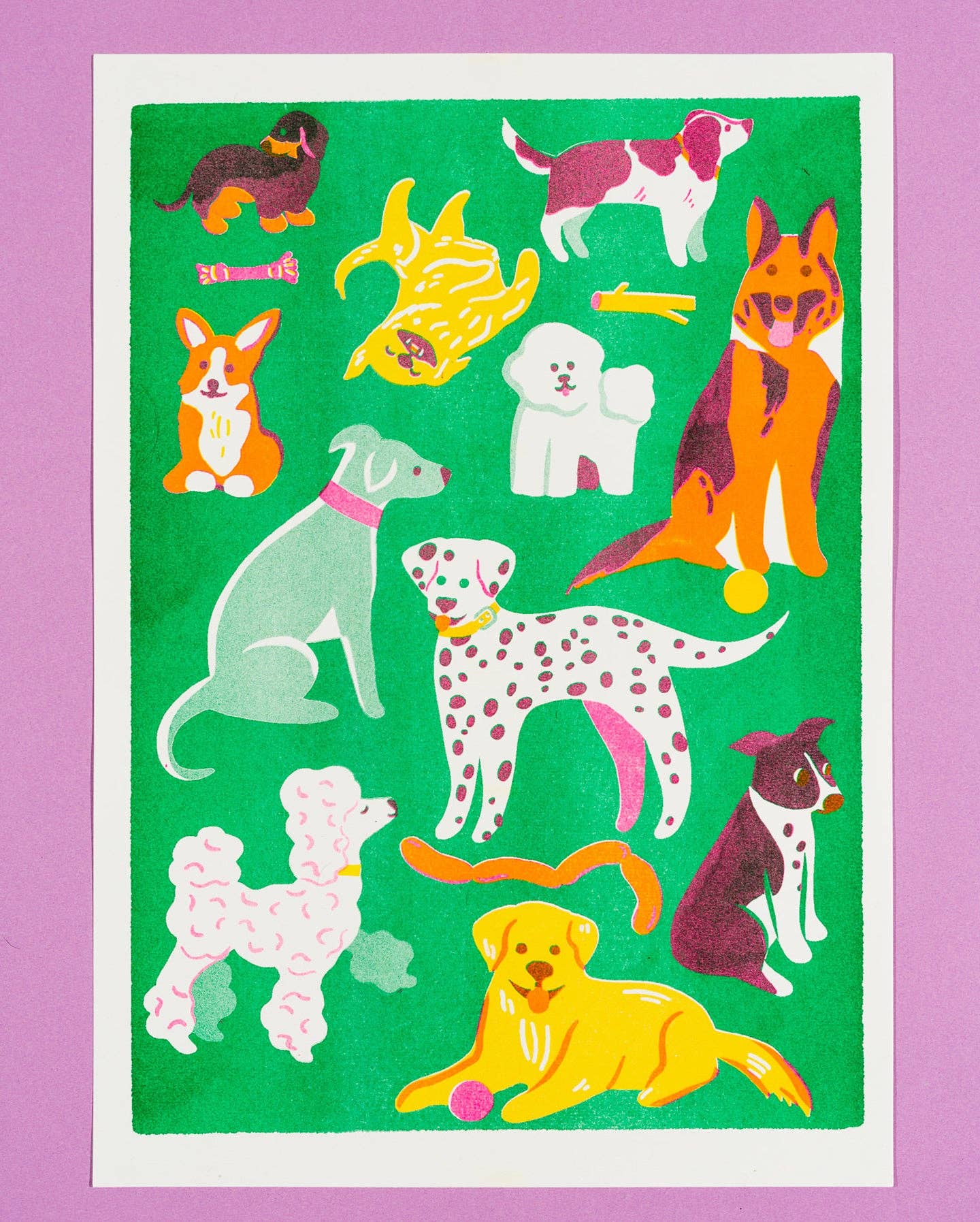 Impression Chiens A3