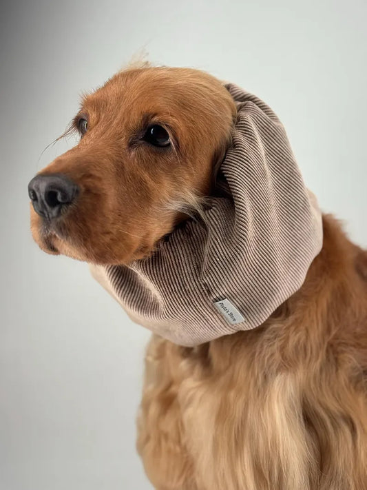Snood en velours - Beige