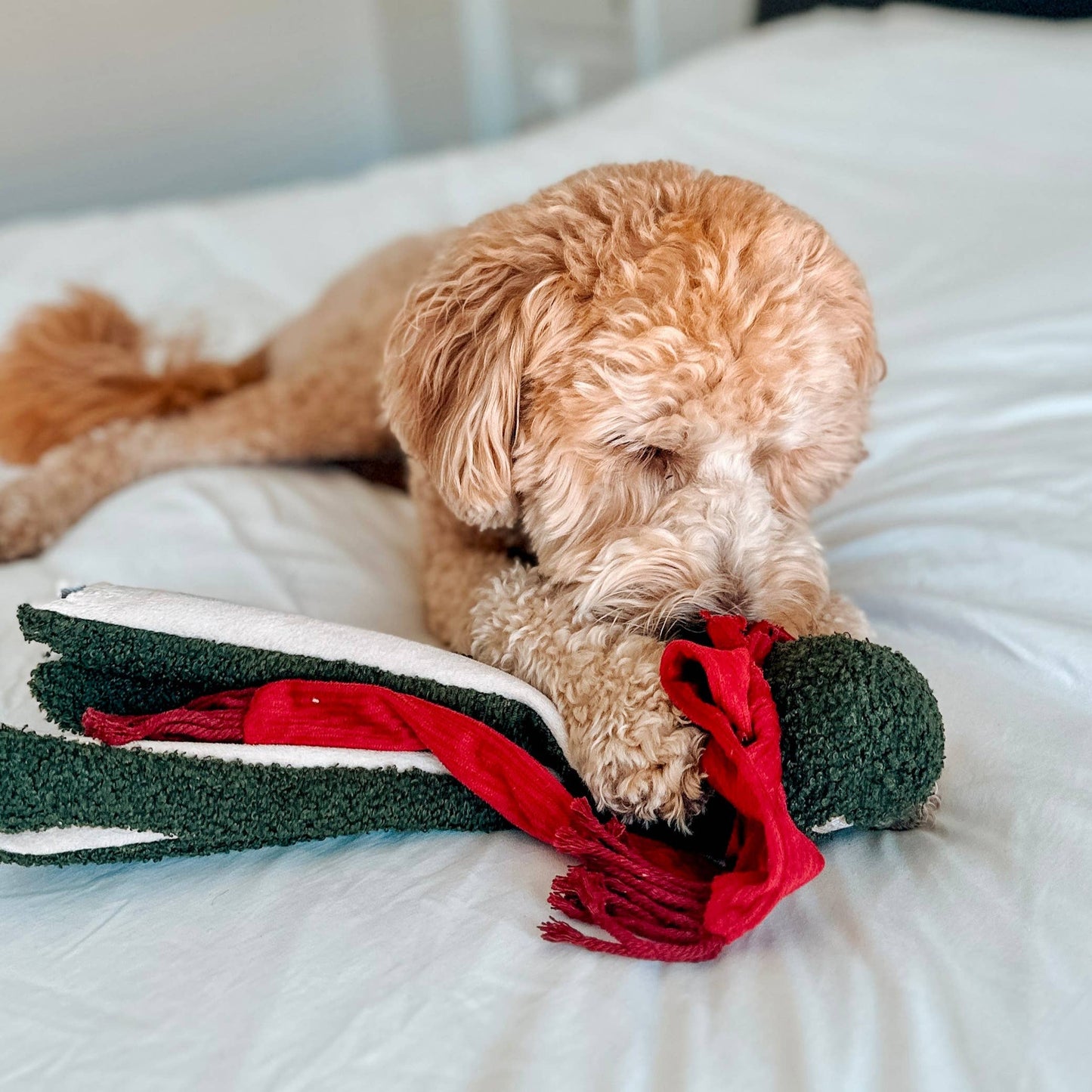 Jouet d'enrichissement pour chien TAKO