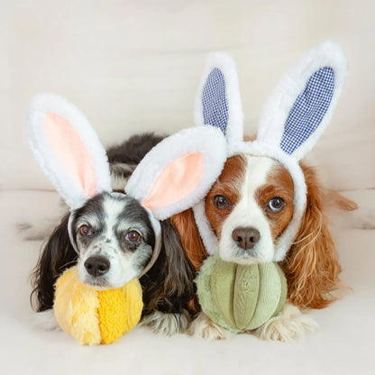 Balle de fouille TOTO