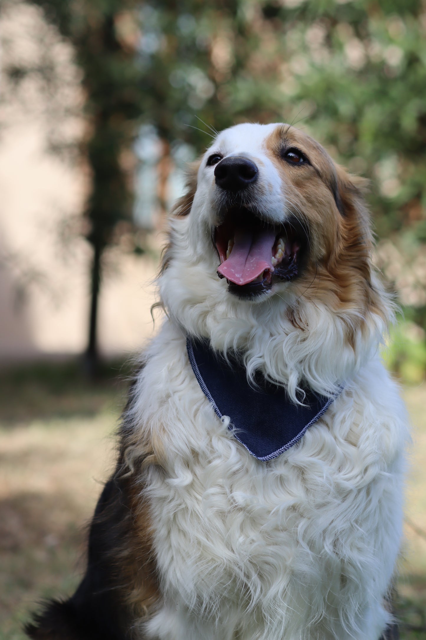 Bandana en denim Max