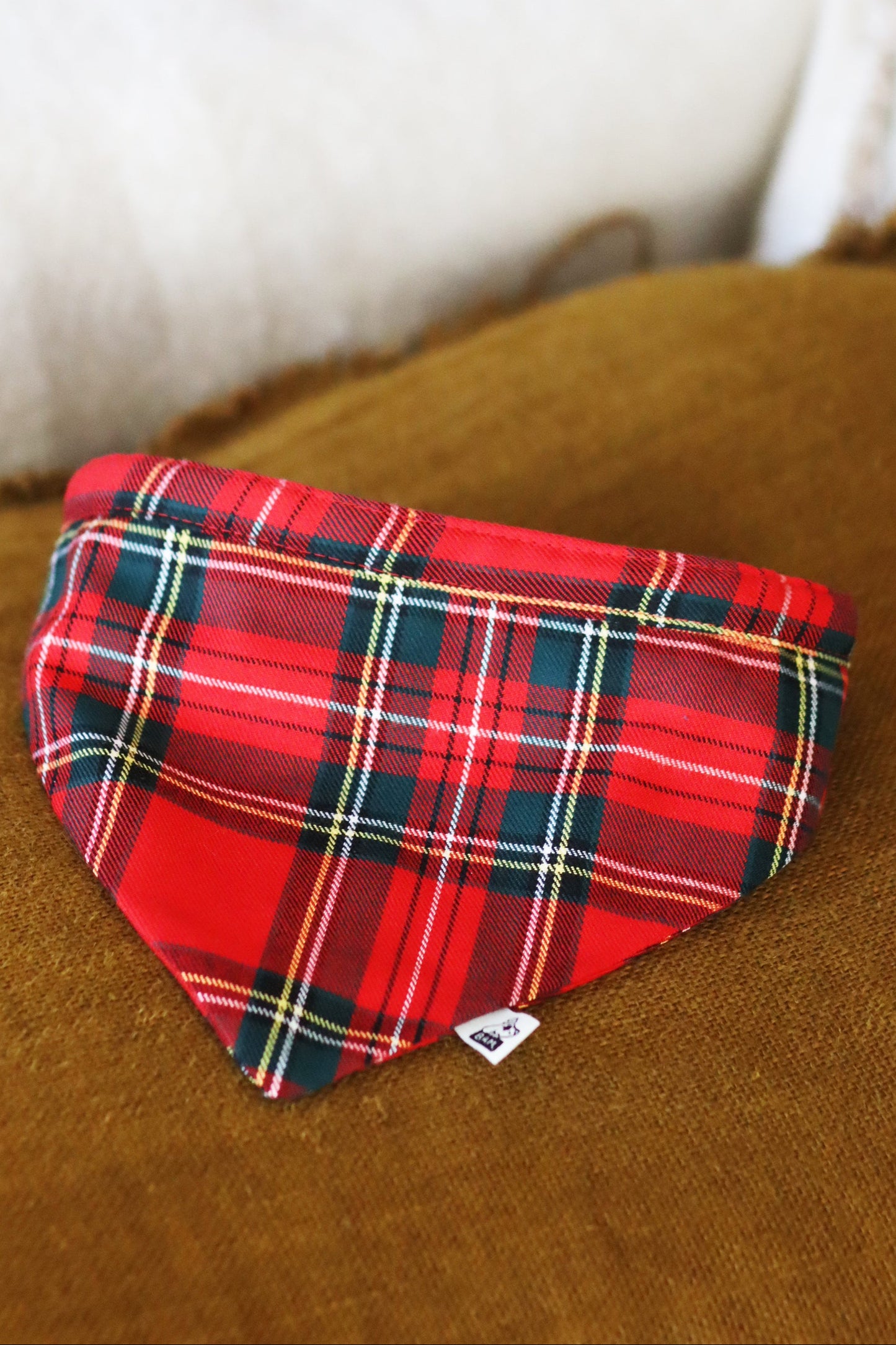 Bandana Rodolphe