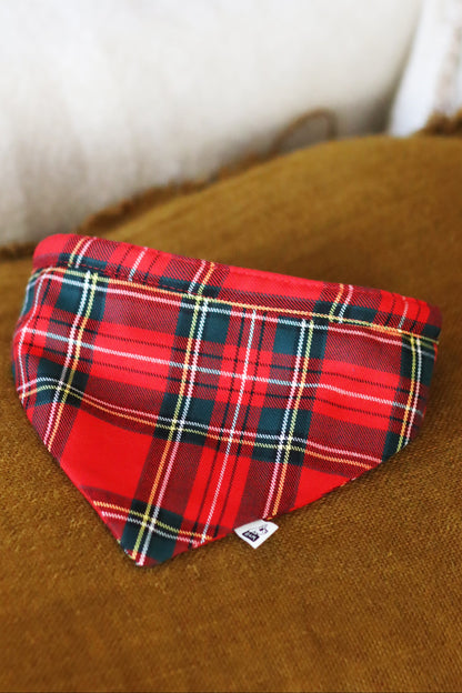 Bandana Rodolphe