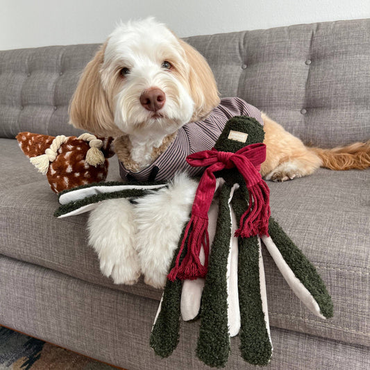 Jouet d'enrichissement pour chien TAKO