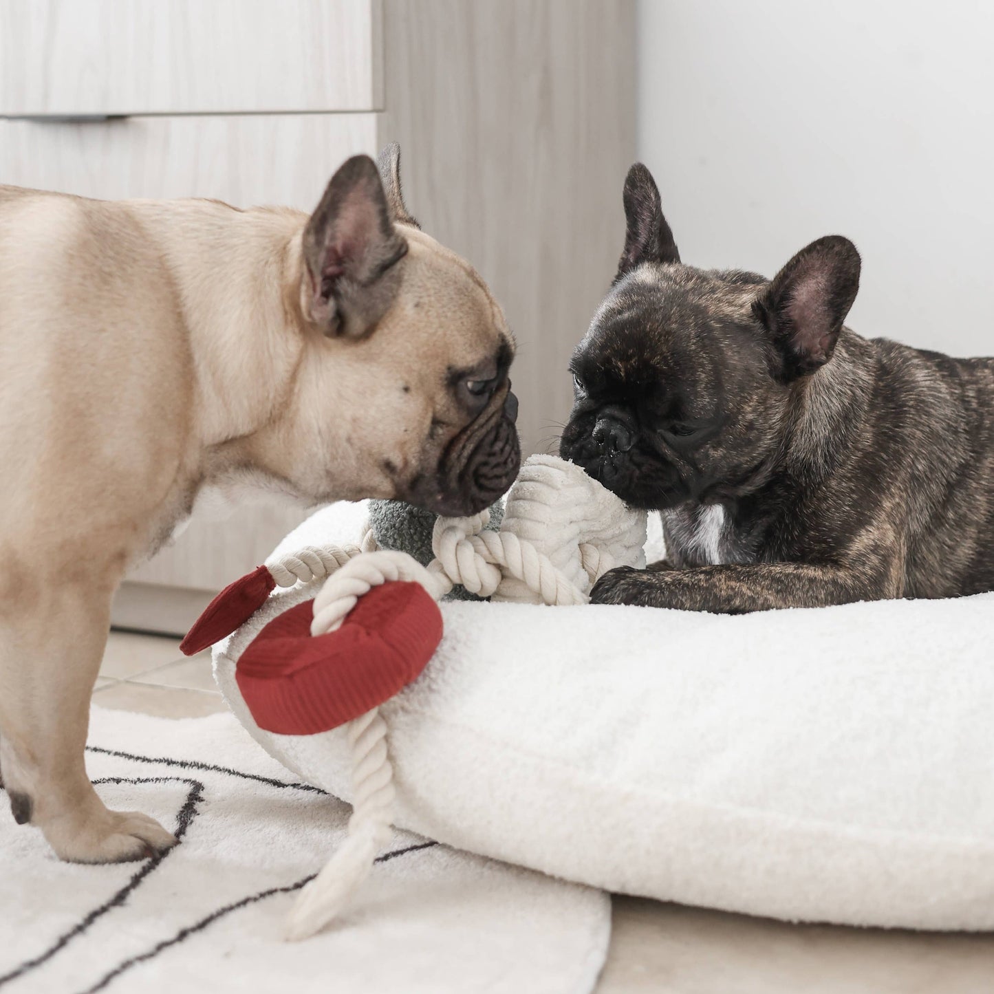 Blocs de Noël - Jouet d'occupation