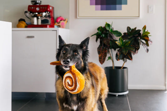 Jouet cinnamon roll