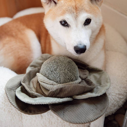 Jouet d'occupation CABBAGE - vert
